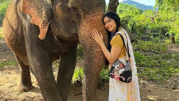EXCLUSIVE: Ganesh Chaturthi 2025: How Adah Sharma Celebrated Ganesh Utsav In Unique Way With Elephants