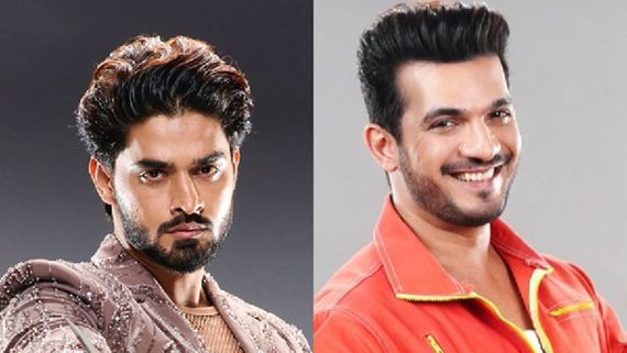 Rise And Fall: Arbaz Patel Schools Arjun Bijlani In Fiery Showdown