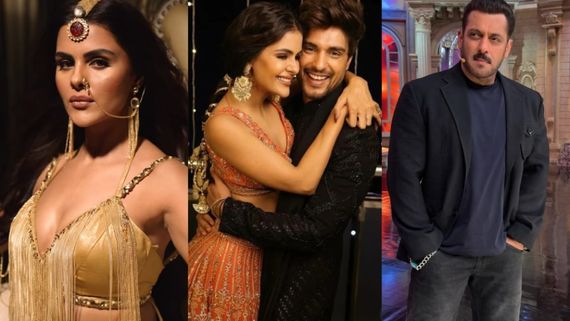 Bigg Boss 19: Priyankit Break Up CONFIRMED? Is Naagin 7 Priyanka Chahar Choudhary Still With Ankit?