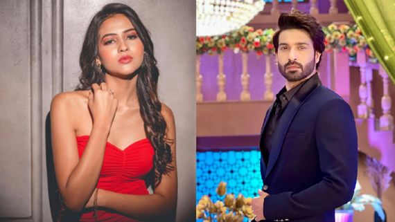 Christmas 2025 EXCLUSIVE: ZEE TV Stars Anusha Merchande And Vijayendra Kumeria Share Heartfelt Festive Wishes 