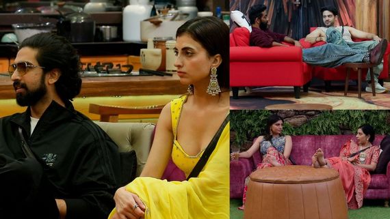 Bigg Boss 19 Early Prediction: Who Will Lift The Trophy? Viral Tweet Leaks Winner's Name Ahead Of Finale