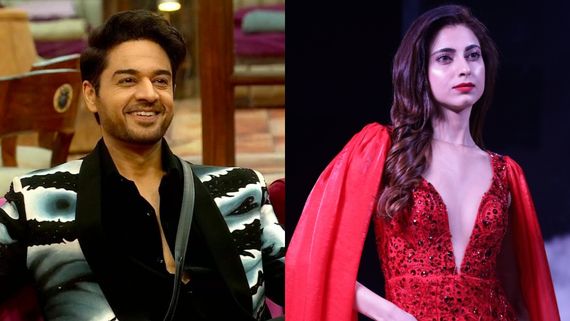 Bigg Boss 19 Runner-Up: THIS Finalist Exits BB House At Second Rank? Here’s Who Is Likely To Take Trophy Home