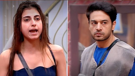 Bigg Boss 19 Finale LIVE VOTING: Gaurav & Farrhana In Top 2; How To Vote For The Winner