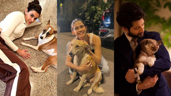 Times Bollywood Actors Melted Our Hearts With Their Adorable Pet Moments