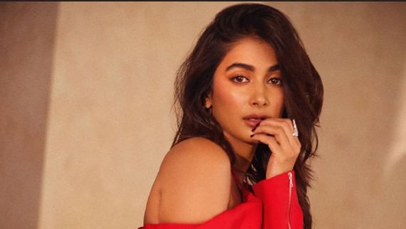 Pooja Hegde’s Upcoming Films Bring Together Big Stories - With Vijay Thalapathy, Varun Dhawan & More 
