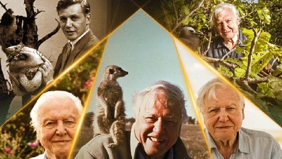 World Earth Day: Five Moments When India’s Wilderness Took Centerstage Through Sir David Attenborough's Lens 