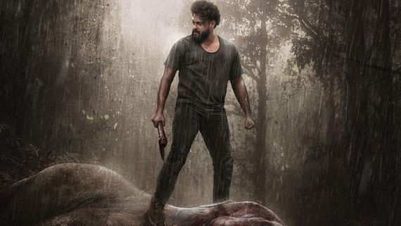Kattalan Box Office Collection Day 4: Antony Varghese's Film Sees Earnings Dip Over Opening Weekend