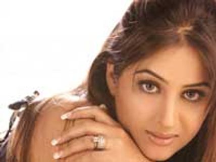 'ಹೋರಿ'ಯ ಒದೆತಕ್ಕೆ ನಿರ್ಮಾಪಕನೇ ಹೈರಾಣ!