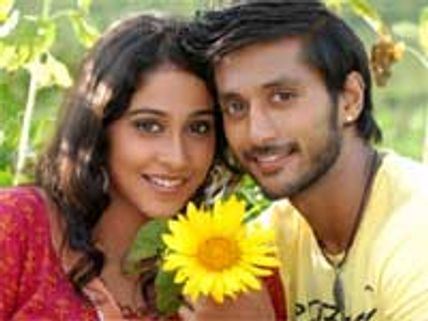 ಸ್ವಮೇಕ್ ಕ್ರಾಂತಿಗೆ 'ಕಂಕಣ' ಸೂರ್ಯಕಾಂತಿ!