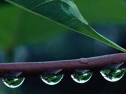 ಮುಂಗಾರು ಮಳೆ ರಿಮೇಕ್ ಹಾಡು ಲೋಕಾರ್ಪಣೆ