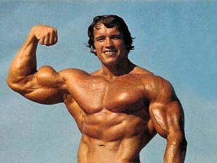 ಮನೆ ಕೆಲಸದಾಕೆಯನ್ನೇ ಬಸುರಿ ಮಾಡಿದ ಮಿ.ವರ್ಲ್ಡ್