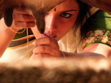 ಶ್ವೇತಾ ಮೆನನ್ ಕಾಮಪ್ರಚೋದಕ ರತಿನಿವೇದನೆ