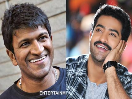 ಅಪ್ಪು ಸಿನಿಮಾದಲ್ಲಿ ಯಂಗ್ ಟೈಗರ್ ಜೂ.ಎನ್.ಟಿ.ಆರ್.?