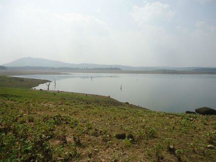 ಮೂರು 'ಪೆಗ್' ಅಲ್ಲ: ಮೂರೇ ಮೂರು 'ತೀರ್ಪು'ಗೆ ತಲೆ ಗಿರಗಿರ ಅಂದಿದೆ.!