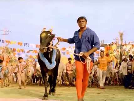 ವಿಮರ್ಶೆ: ಪ್ರಾಣಿ ಪ್ರಿಯರು ಧಾರಾಳವಾಗಿ 'ದನ ಕಾಯ್ಬೋದು'.!