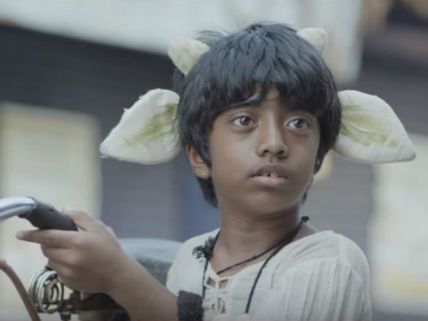 ಸಮೀರನ ಮುಗ್ಧತೆ ಕಂಡು ಮಗುವಾದರು ವಿಮರ್ಶಕರು 