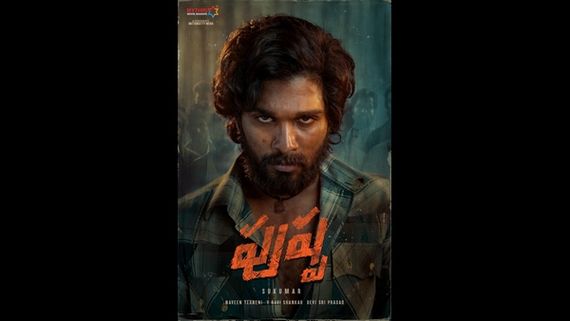 ಅಲ್ಲು ಅರ್ಜುನ್ 'ಪುಷ್ಪ' ಚಿತ್ರದಲ್ಲಿ ಬಾಲಿವುಡ್‌ನ ಜನಪ್ರಿಯ ನಟ ವಿಲನ್?