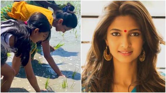 ಲಾಕ್ ಡೌನ್ ನಲ್ಲಿ ನಾಟಿ ಮಾಡುತ್ತಿರುವ ನಟಿ ಕೀರ್ತಿ: ವಿಡಿಯೋ ವೈರಲ್ 