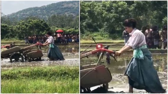 ಹೊಲದಲ್ಲಿ ಉಳುಮೆ ಮಾಡುತ್ತಿರುವ ನಟಿ ರಶ್ಮಿಕಾ: ವಿಡಿಯೋ ವೈರಲ್