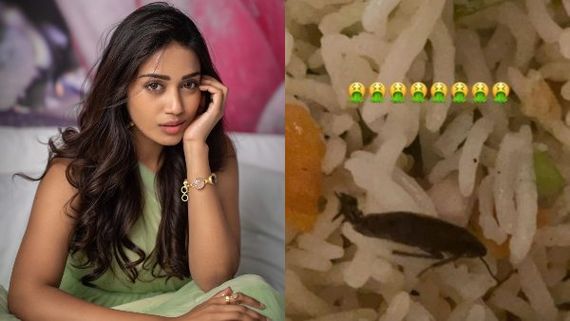 ಊಟದಲ್ಲಿ ಜಿರಳೆ, ರೆಸ್ಟೋರೆಂಟ್ ವಿರುದ್ಧ ನಟಿ ನಿವೇತಾ ಅಸಮಾಧಾನ