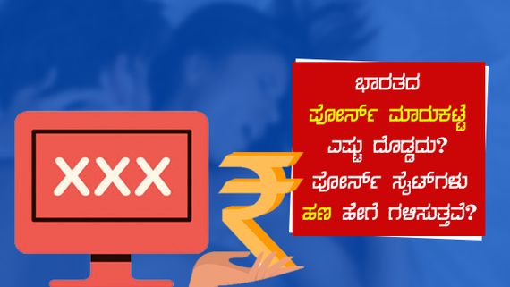 ಭಾರತದ ಪೋರ್ನ್ ಮಾರುಕಟ್ಟೆ ಎಷ್ಟು ದೊಡ್ಡದು? ಪೋರ್ನ್ ಸೈಟ್‌ಗಳು ಹಣ ಹೇಗೆ ಗಳಿಸುತ್ತವೆ?