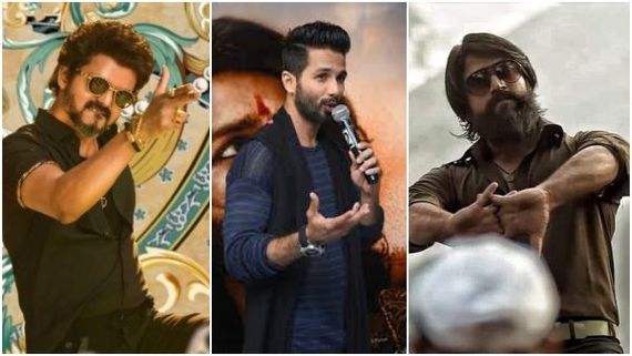 Shahid Kapoor: ವಿಜಯ್ ಅವರ ದೊಡ್ಡ ಅಭಿಮಾನಿ ಎಂದ ಶಾಹಿದ್ ಕಪೂರ್ ರಾಕಿ ಭಾಯ್ ಬಗ್ಗೆ ಏನಂದ್ರು?