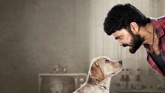 ನಾಗಾಲೋಟದಲ್ಲಿ '777 ಚಾರ್ಲಿ': ಶನಿವಾರ ಗಳಿಸಿದ್ದೆಷ್ಟು?