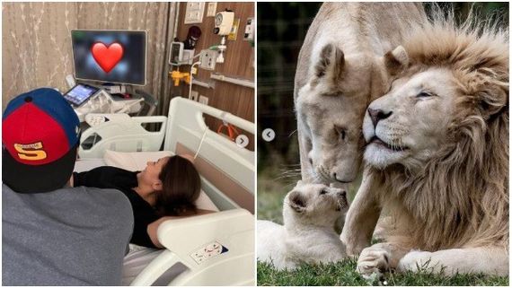 ಮೊದಲ ಮಗುವಿನ ನಿರೀಕ್ಷೆಯಲ್ಲಿ ಆಲಿಯಾ-ರಣ್‌ಬೀರ್: ಬೇಬಿ ಕಮಿಂಗ್ ಸೂನ್ ಎಂದ ನಟಿ!