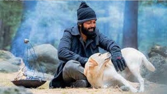 ಬಾಲಿವುಡ್‌ನಿಂದ '777 ಚಾರ್ಲಿ' ರಿಮೇಕ್‌ಗೆ ಬೇಡಿಕೆ?