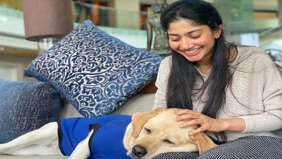 'ಚಾರ್ಲಿ'ಯ ಮುದ್ದಾಡಲು ಬಂದ ನಟಿ ಸಾಯಿ ಪಲ್ಲವಿ