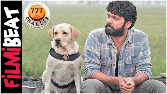 ಬಾಲಿವುಡ್ ಬಾಕ್ಸಾಫೀಸ್‌ನಲ್ಲಿ '777 ಚಾರ್ಲಿ' ಕಥೆಯೇನು? 7 ದಿನ ಗಳಿಸಿದ್ದೆಷ್ಟು?