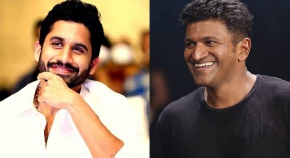 ತೆಲುಗು ನಟ ನಾಗ ಚೈತನ್ಯಗೆ ಪುನೀತ್ ರಾಜ್‌ಕುಮಾರ್ ಅವರೇ ಸ್ಪೂರ್ತಿಯಂತೆ!