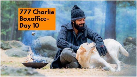 ವಿಶ್ವದಾದ್ಯಂತ '777 ಚಾರ್ಲಿ'ಯ 10 ದಿನದ ಕಲೆಕ್ಷನ್ ಎಷ್ಟು? ರಕ್ಷಿತ್ ಶೆಟ್ಟಿಗೆ ಸಿಕ್ಕಿದ್ದು ಗೆಲುವಾ? ಸೋಲಾ?