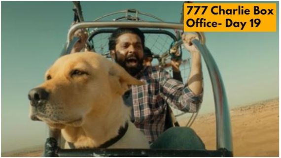 25 ದಿನದತ್ತ '777 ಚಾರ್ಲಿ' ರನ್ನಿಂಗ್: 19 ದಿನಗಳಲ್ಲಿ ರಕ್ಷಿತ್ ಶೆಟ್ಟಿ ಸಿನಿಮಾ ದೋಚಿದ್ದೆಷ್ಟು?