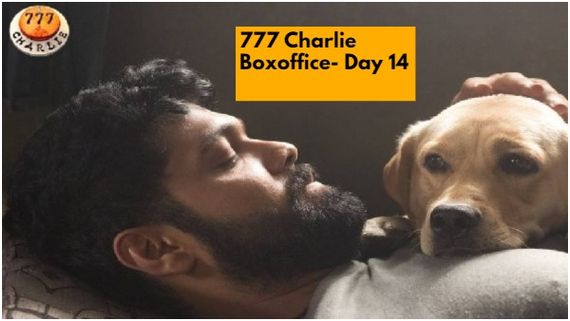 '777 ಚಾರ್ಲಿ' 14ನೇ ದಿನ ಕಲೆಕ್ಷನ್ ಎಷ್ಟು? 75 ಕೋಟಿ ಕ್ಲಬ್‌ಗೆ ಎಂಟ್ರಿ ಕೊಟ್ಟಿದ್ದಾಯ್ತಾ? 