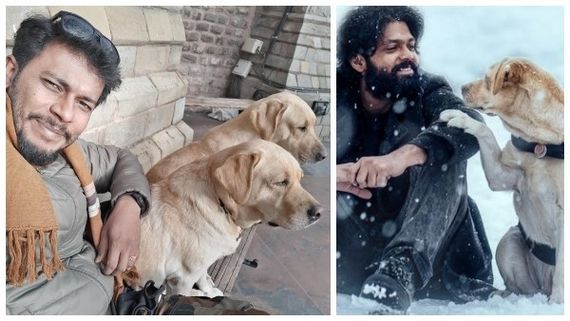 ತರಬೇತುದಾರ ಪ್ರಮೋದ್‌ ಅದೃಷ್ಟ ಬದಲಿಸಿದ 'ಚಾರ್ಲಿ': ನೆರೆ ರಾಜ್ಯಗಳಿಂದಲೂ ಡಿಮ್ಯಾಂಡ್!