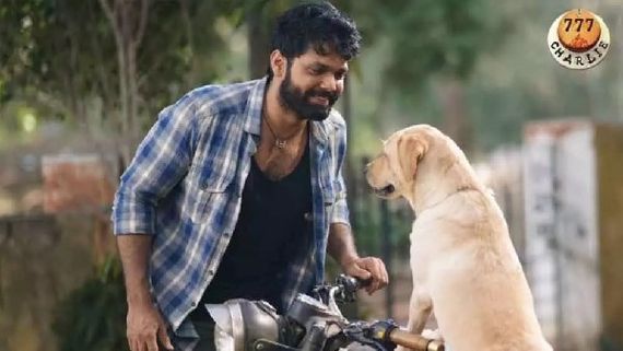 25 ದಿನಗಳನ್ನು ಪೂರೈಸಿದ '777 ಚಾರ್ಲಿ': ರಕ್ಷಿತ್ ಶೆಟ್ಟಿ ಸಿನಿಮಾ ಕಲೆಕ್ಷನ್ ಎಷ್ಟು? 