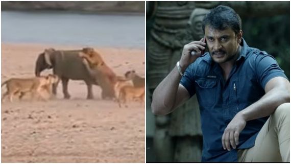 ಆನೆ ನಡೆದಿದ್ದೇ ದಾರಿ: ವಿಡಿಯೋ ಶೇರ್ ಮಾಡಿ ದರ್ಶನ್ ಹೇಳಿದ್ದೇನು? 