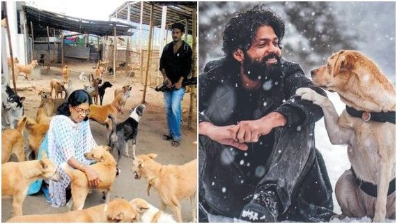 '777 ಚಾರ್ಲಿ' ಸಿನಿಮಾ ಎಫೆಕ್ಟ್: ಬೀದಿ ನಾಯಿಗಳಿಗೂ ಬಂತು ಪುನರ್ವಸತಿ ಕೇಂದ್ರ