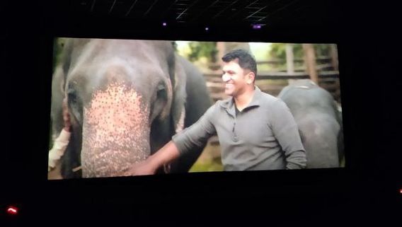 ಪುನೀತ್ ಕನಸಿನ ಕೂಸು 'ಗಂಧದ ಗುಡಿ' 3ನೇ ದಿನ ಗಳಿಸಿದ್ದೆಷ್ಟು? ಇಲ್ಲಿಯವರೆಗೂ ಎಷ್ಟು ಕಲೆಕ್ಷನ್ ಮಾಡಿದೆ? 