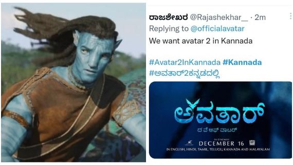 'ಕೆಜಿಎಫ್', 'ಕಾಂತಾರ' ವಿಶ್ವದ ಗಮನ ಸೆಳೆದರೂ 'ಅವತಾರ್ 2' ಕನ್ನಡದಲ್ಲಿ ಯಾಕಿಲ್ಲ? ನೆಟ್ಟಿಗರ ಆಕ್ರೋಶ!