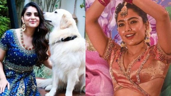 ಟ್ರೋಲ್ಸ್ vs ರಶ್ಮಿಕಾ ಮಂದಣ್ಣ: ಮೋಹಕತಾರೆ ರಮ್ಯಾ ಬ್ಯಾಟ್ ಬೀಸಿದ್ದು ಯಾರ ಪರ?