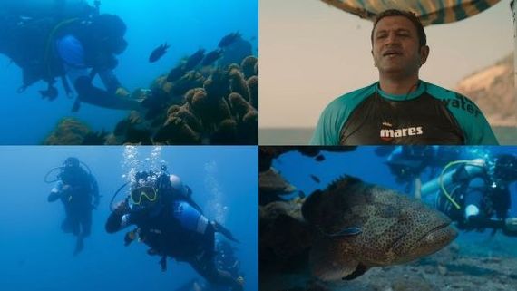 ಗಂಧದ ಗುಡಿ ಚಿತ್ರದ 'ಅಲೆಯ ಕರೆ' ವಿಡಿಯೊ ಸಾಂಗ್ ಬಿಡುಗಡೆ; ನೇತ್ರಾಣಿ ಅಂಡರ್‌ವಾಟರ್‌ನ ಸುಂದರ ಚಿತ್ರಣ