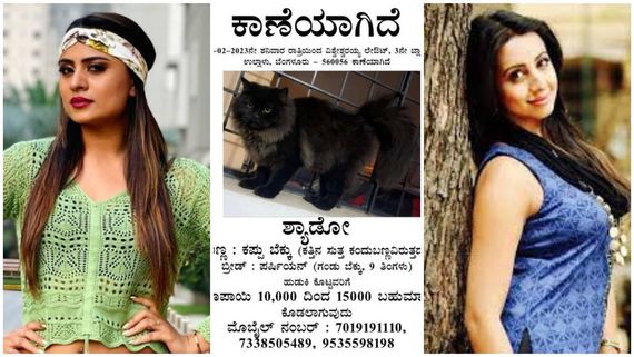 ಬೆಕ್ಕು ಕಾಣೆಯಾಗಿದೆ ಎಂದ ದೀಪಿಕಾ ದಾಸ್: ವಾಮಾಚಾರ ಮಾಡಿರಬಹುದು ಎಂದ ಸಂಜನಾ! 