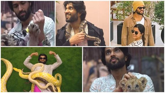 ಹುಲಿಗೆ ಹಾಲು.. ಸಿಂಹದೊಂದಿಗೆ ಆಟ.. ಹಾವುಗಳ ಜೊತೆ ಸರಸ: ರಶ್ಮಿಕಾ ಮಾತ್ರ ಮಿಸ್ಸಿಂಗ್ 