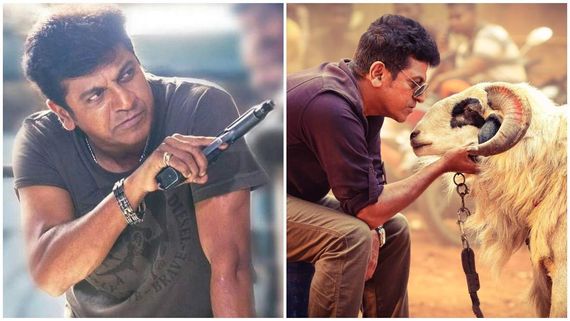 Tagaru: ಪೊಗರಿನ 'ಟಗರು' ಆರ್ಭಟಕ್ಕೆ 5 ವರ್ಷ: ಶಿವಣ್ಣ- ಸೂರಿ ಜೋಡಿ ಸಿನಿಮಾ ಬರೆದ ದಾಖಲೆಗಳೆಷ್ಟು? 
