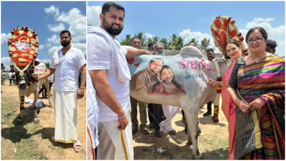 ಎತ್ತಿನ ಹೊಟ್ಟೆ ಮೇಲೆ ಅಭಿಷೇಕ್-ಅವಿವಾ ಭಾವಚಿತ್ರ: ಬೀಗರ ಔತಣಕೂಟದಲ್ಲಿ ಮಂಡ್ಯ ಹೈಕ್ಳ ಅಭಿಮಾನ! 