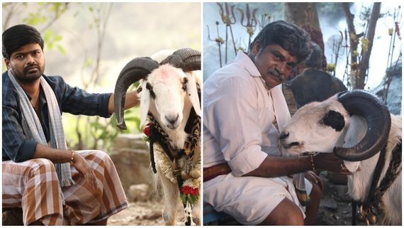 ಅಭಿಮಾನಿಗಳ ಅಭಿಯಾನಕ್ಕೆ ಸಿಕ್ತು ಜಯ: ಉಳೀತು 'ಟಗರು ಪಲ್ಯ' 7 ಸ್ಟಾರ್ ಸುಲ್ತಾನನ ಜೀವ! 