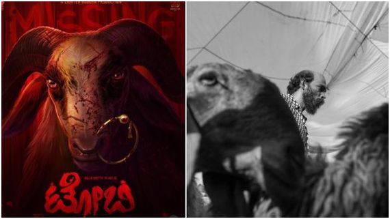 ಕೆಣಕಿದರೆ ಕುರಿಯೂ ಮಾರಿಯಾಗಬಲ್ಲದು.. ಮಾರಿ ಮಾರಿ.. ಮಾರಿಗೆ ದಾರಿ:'ಟೋಬಿ'ಯ ಸಿಟ್ಟೇನು?