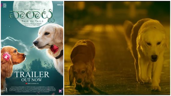 Valatty Trailer: ಶ್ವಾನಪ್ರಿಯರಿಗೆ ಮತ್ತೊಂದು ಸಿನಿಮಾ 'ವಾಲಟ್ಟಿ'.. ಟ್ರೈಲರ್ ಸೂಪರ್     